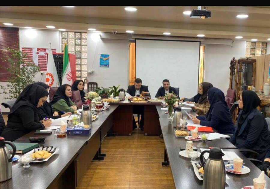 بهزیستی استان تهران پنجمین نشست تخصصی پیشگیری، کنترل و کاهش خودکشی را برگزار کرد