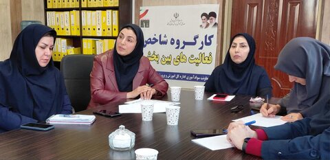 کارگروه شاخص فعالیت‌های بین‌بخشی