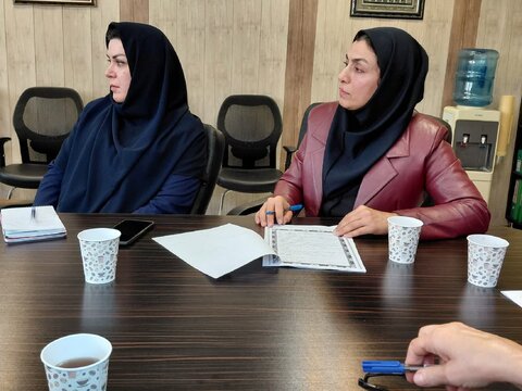 کارگروه شاخص فعالیت‌های بین‌بخشی