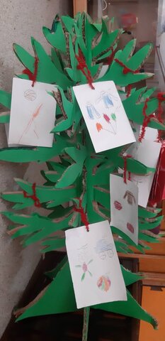 بهزیستی مازندران