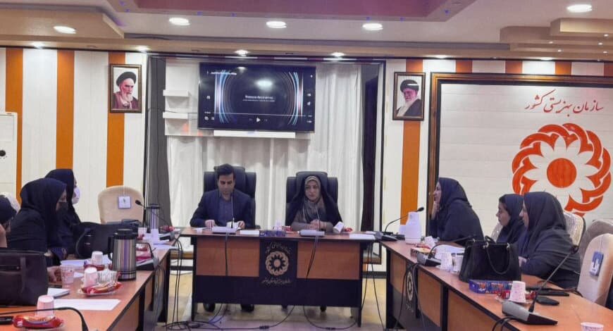 شهرستان بوشهر| هم‌افزایی تخصصی بهزیستی استان بوشهر برای مقابله با خشونت خانگی؛ برگزاری کارگاه آسیب‌شناسی مشترک با تمرکز بر کودک و همسرآزاری