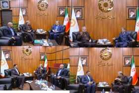 دیدار رئیس سازمان بهزیستی با برخی نمایندگان مجلس