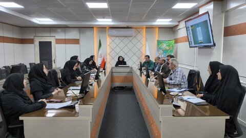 برگزاری هشتمین کارگروه عملیاتی مراکز مثبت زندگی استان قزوین
