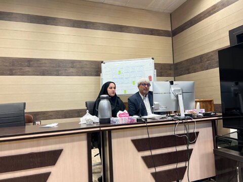 آموزش تخصصی، پایه پیشگیری از معلولیت‌های دوران سالمندی در استان