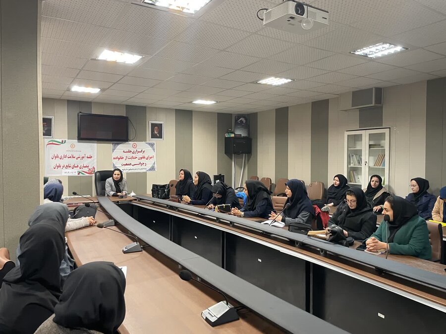 کارگاه آموزشی «بیماریهای شایع بانوان» در قروه برگزار شد