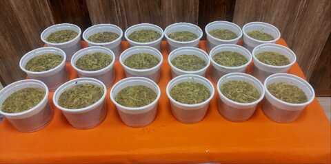 طالقان | برگزاری جشن ولادت حضرت فاطمه(س) و روز مادر