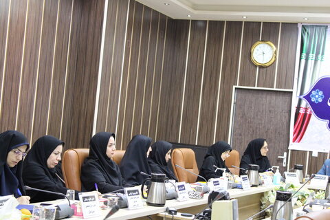 بررسی عملکرد مراکز «شوق زندگی» و تدوین راهکارهای ارتقای خدمات حمایتی