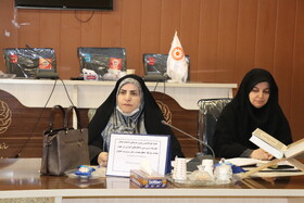 گزارش تصویری| نشست هم اندیشی مسئولین با موضوع ارتقای معیشت زنان سرپرست خانوار