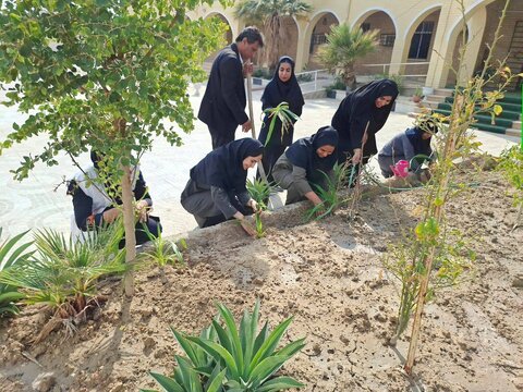 دیّر|بانوان شاغل در بهزیستی شهرستان دیر با کاشت نهال، میلاد حضرت فاطمه زهرا (س) و روز زن را گرامی داشتند