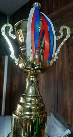 کسب عنوان قهرمانی جام داژبال تیم بانوان نرگس خانه بهزیست اشتهارد