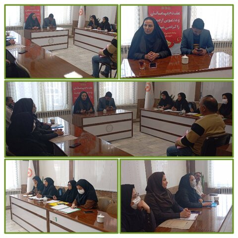 سربیشه/هفدهمین جلسه کمیته اشتغال و توانمندسازی بهزیستی شهرستان