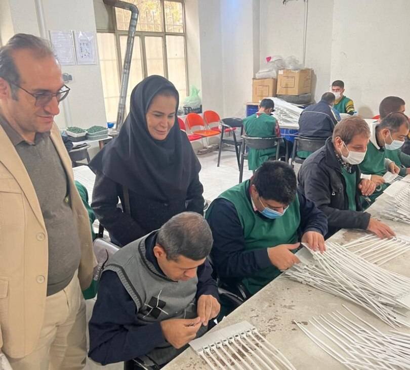 شهرتهران| بازدید معاون توانبخشی از کارگاه تولیدی حمایتی «بهتوان»
