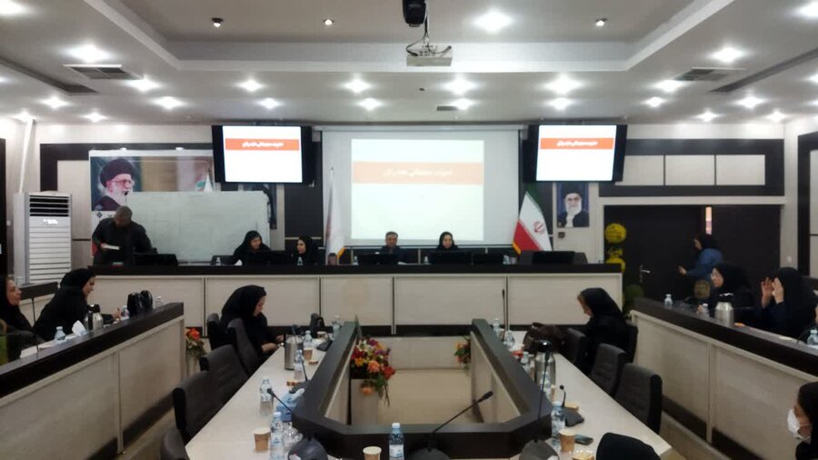 نشست علمی بررسی راهکارهای کاهش خشونت دیجیتال علیه زنان در سنندج برگزار شد