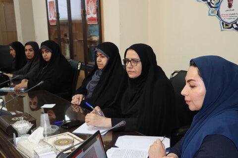 سمپوزیوم تخصصی روز جهانی منع خشونت علیه زنان