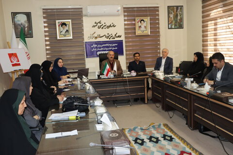 سمپوزیوم تخصصی روز جهانی منع خشونت علیه زنان