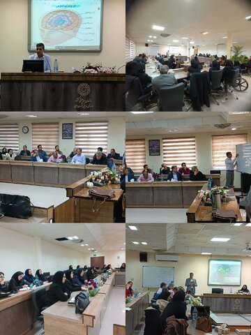 بیرجند/برگزاری دوره آموزشی (خود مراقبتی وتاب آوری حرفه ای)