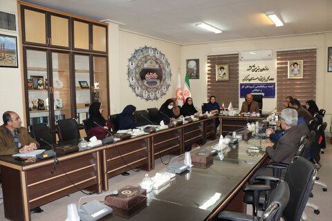 ساماندهی کودکان کار باید از گزارش‌دهی آماری به پیگیری موردی و نتایج ملموس برسد