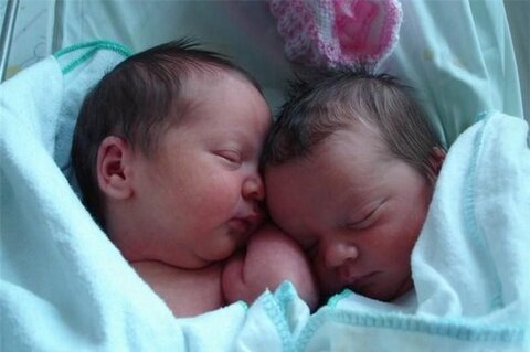 ۲۰ خانواده فامنینی دارای فرزندان چندقلو تحت حمایت بهزیستی