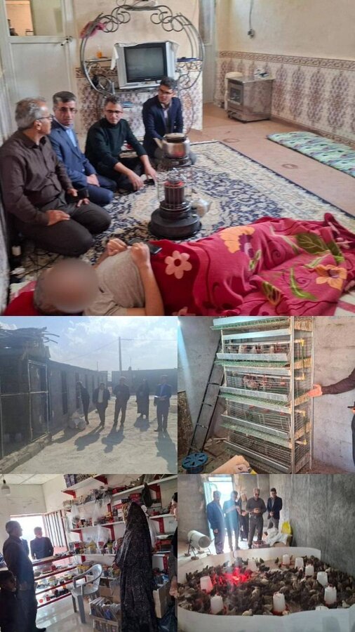 نهبندان/ بازدید معاون  توسعه کار آفرینی، اشتغال  توانمندسازی بهزیستی از طرح‌های اشتغال‌زایی