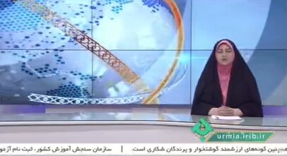 ببینیم / معلولیت محدودیت نیست