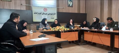 کمیته توانبخشی در کبودراهنگ با حضور کارشناسان استانی تشکیل شد