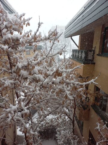 اولین روز برفی پاییزی در قاب بهزیستی استان همدان