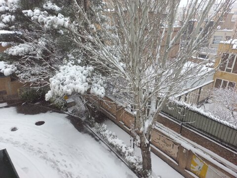 اولین روز برفی پاییزی در قاب بهزیستی استان همدان