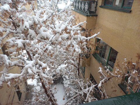 اولین روز برفی پاییزی در قاب بهزیستی استان همدان