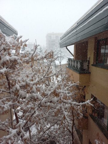 اولین روز برفی پاییزی در قاب بهزیستی استان همدان