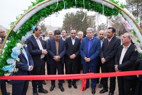 افتتاح ۶ نیروگاه خورشیدی در یزد برای حمایت از معلولان