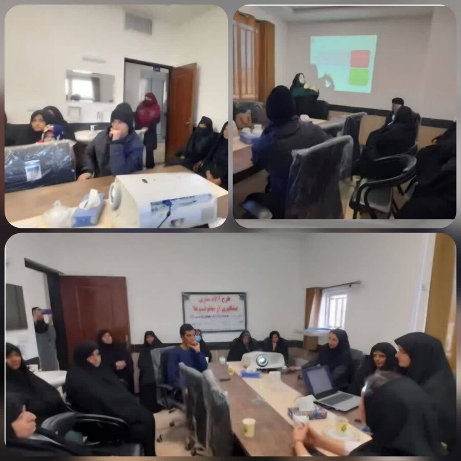 فردوس/اجرای طرح آگاه‌سازی پیشگیری از معلولیت‌ها برای افراد دارای معلولیت