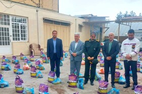 توزیع ۱۵۰ بسته مواد غذایی ویـــژه شب یلــدا در بهزیستی شهرستان سلسله