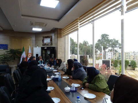 جلسه سرپرست بهزیستی استان فارس با معاون و کارشناسان معاونت سلامت اجتماعی بهزیستی فارس  برگزار شد