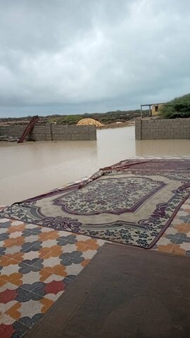 آب‌گرفتگی گسترده در سیریک؛ ۳۵ خانواده تحت پوشش بهزیستی آسیب دیدند