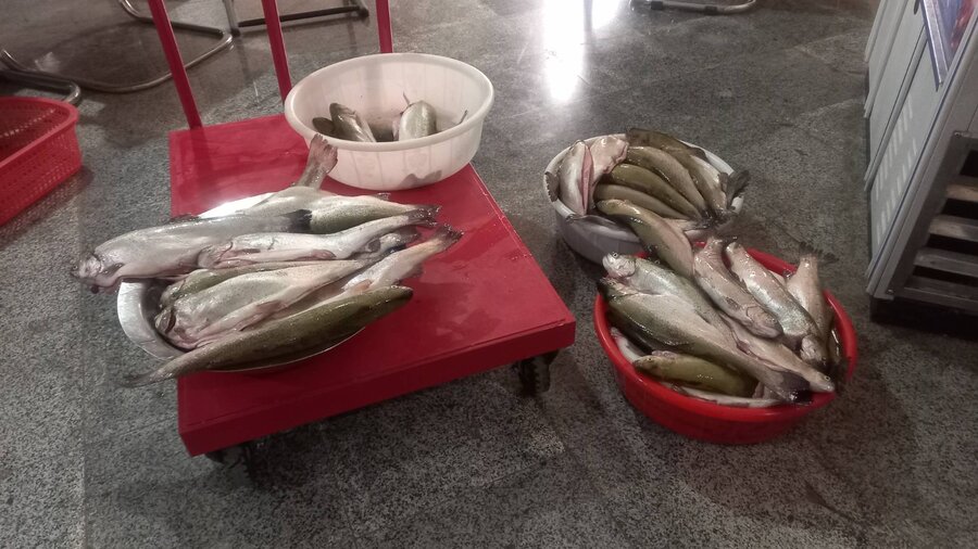 فیروزکوه | یلدا به مهربانی خیرین روشن‌تر شد