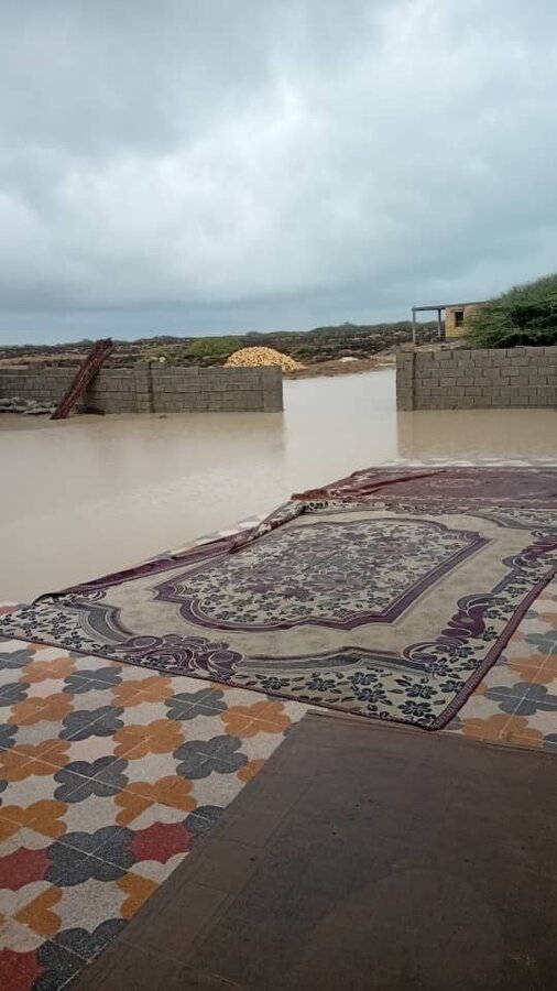 آب‌گرفتگی گسترده در سیریک؛ ۳۵ خانواده تحت پوشش بهزیستی آسیب دیدند