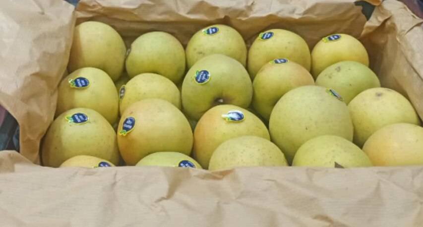 اهدای ۱۰۰ جعبه سیب به خانواده‌های نیازمند تحت پوشش اشنویه به مناسبت شب یلدا