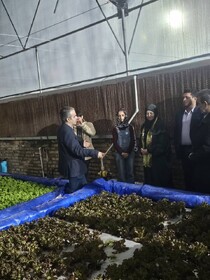 بازدید رئیس سازمان محیط زیست از خانه دختران ایران در شب یلدا