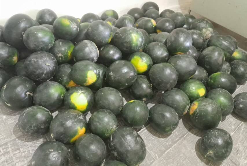 مشارکت خیرین در تامین بسته های  یلدایی جامعه هدف اداره بهزیستی شهرستان میاندوآب