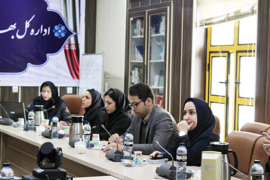  بررسی طرح ها و پروژه های شهر دوستدار سالمند رشت 