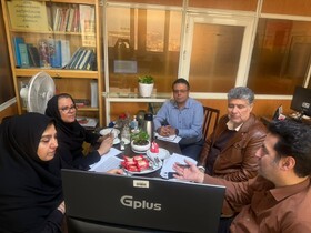  توسعه تعاملات نظام مند در تدوین استانداردهای شایستگی شغلی  و مهارتی افراد دارای معلولیت