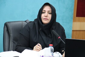 رسانه|اسکندری: مناسب‌سازی ۶۶ دستگاه اجرایی استان بوشهر ارزیابی شد