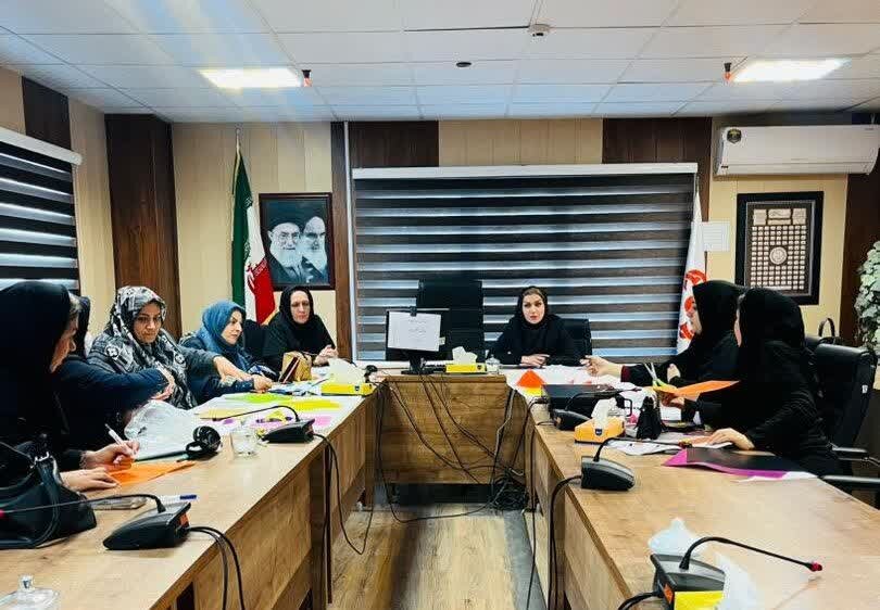 دومین جلسه فوکوس‌گروپ تخصصی طرح خاتم در همدان برگزار شد