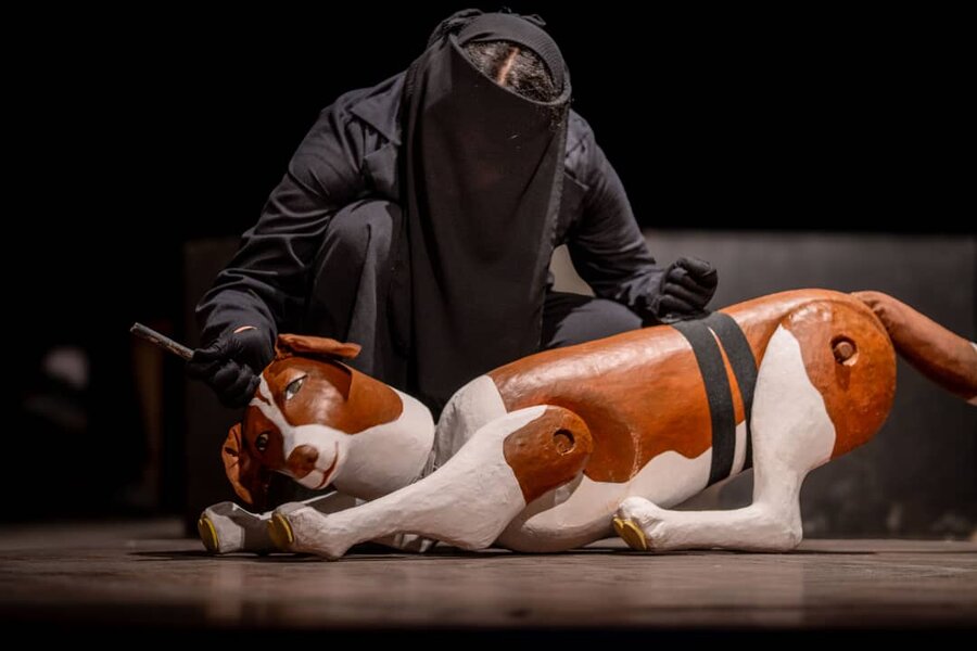 «هاپولری»؛ وقتی هنر فراگیر بر قله امید می‌ایستد 