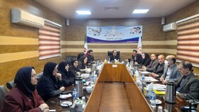 اهم سخنان مدیرکل بهزیستی استان سمنان در جلسه شورای معاونین