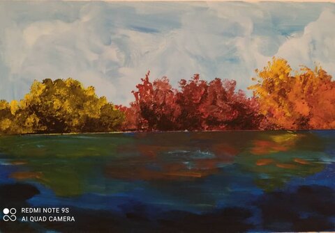 سید مهرشاد آقامیری