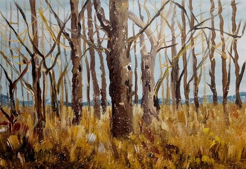 سید مهرشاد آقامیری