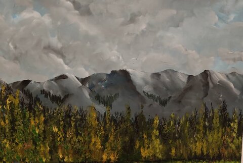 سید مهرشاد آقامیری