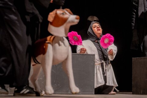 گلستان - هاپولری