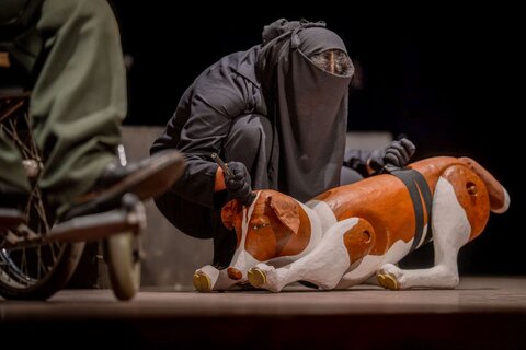 گلستان - هاپولری